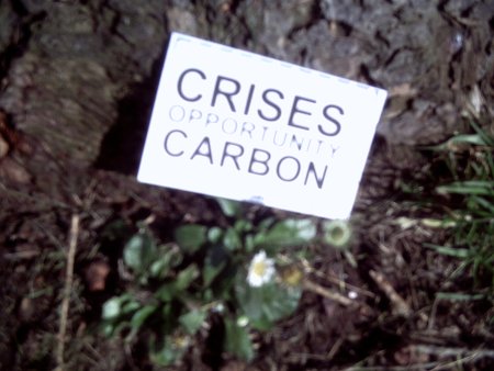 002-crises-opp-carbon.JPG.medium.jpeg